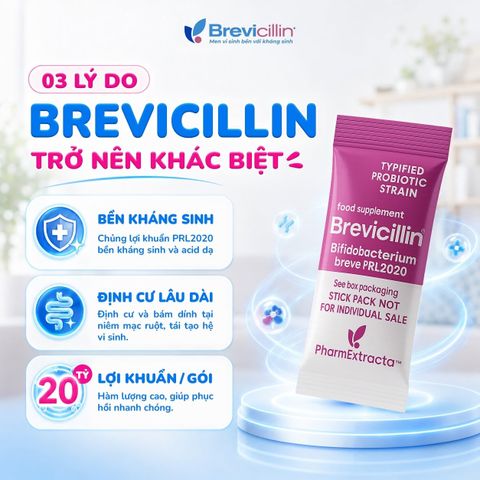 Men vi sinh Brevicillin (Hộp 20 gói)