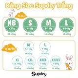 Bảng size
