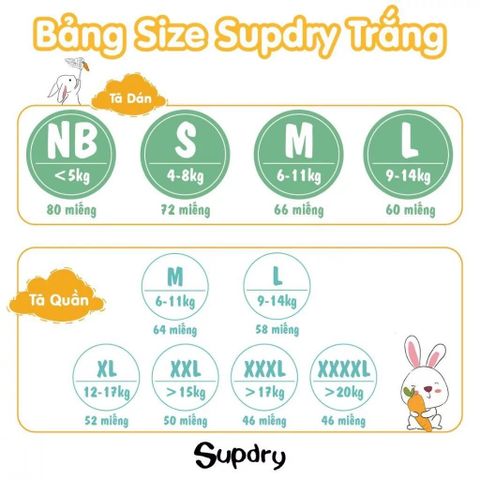 Bảng size