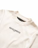  XIII -  