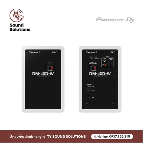  LOA KIỂM ÂM CHÍNH HÃNG - PIONEER DM-40D 