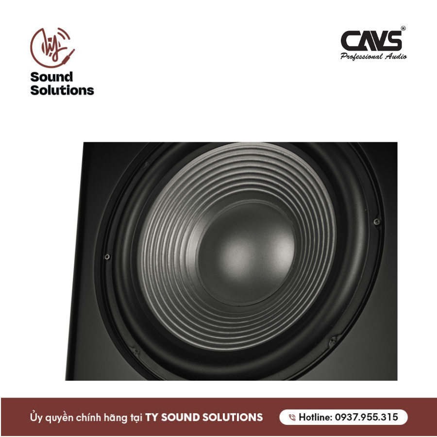 SUB ĐIỆN - CAVS THS12 PRO