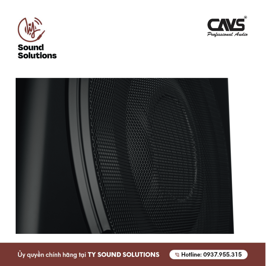 SUB ĐIỆN - CAVS THS12 PRO