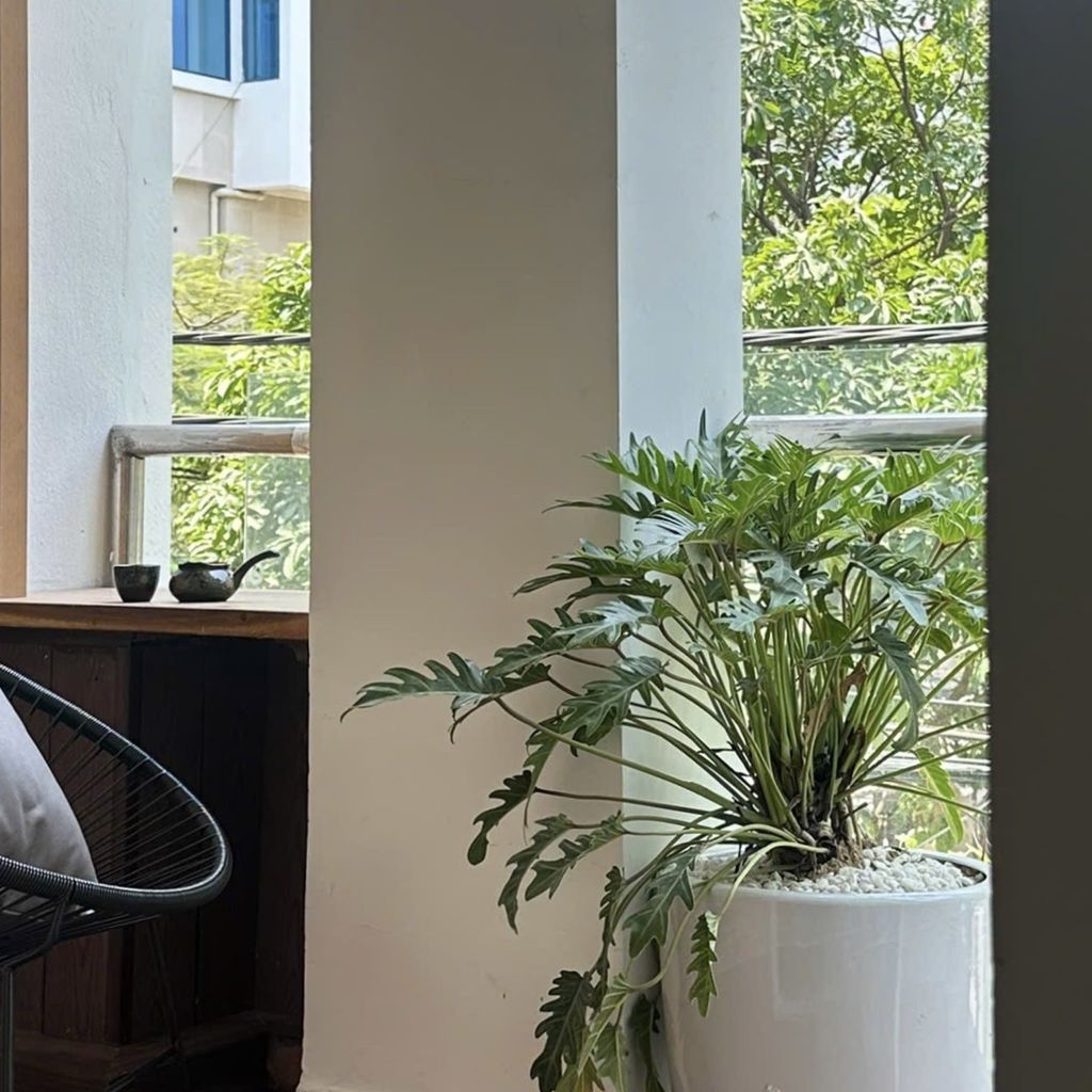  BLISS HOME — BY TOM’S STAY DA NANG 