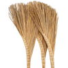 Chổi xương