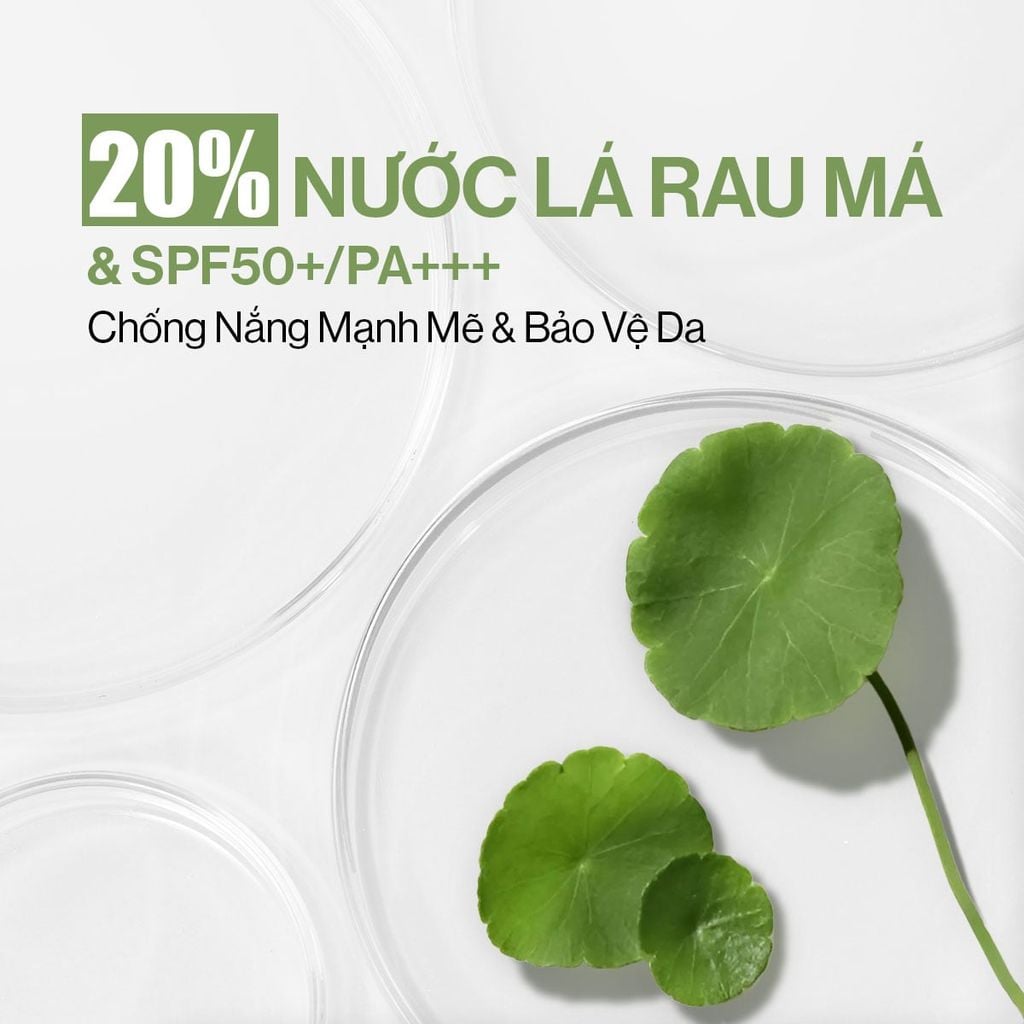 Phấn Nước Căng Bóng Glamrr Q Vegan Super Glow Cushion SPF50+/PA++++ (1 lõi x 15g)