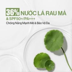 Phấn Nước Che Phủ Glamrr Q Vegan Super Cover Cushion SPF50+/PA+++ (1 lõi x 15g)