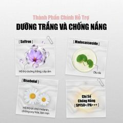 Lõi Refill Phấn Nước Glamrr Q Long Wear DD Cushion SPF50+/PA+++ (1 lõi x 12g)