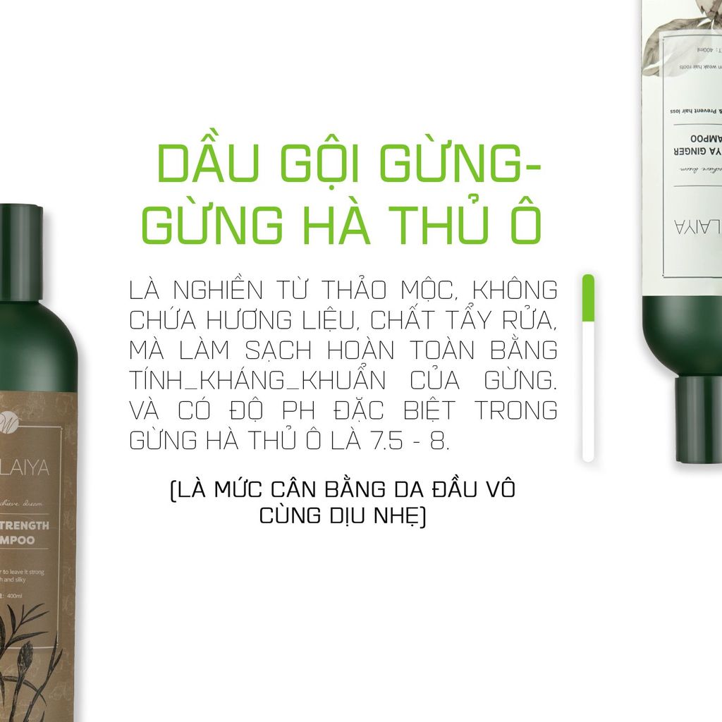 [Da Khô] Cặp Gội-Xả Gừng Hà Thủ Ô Weilaiya nhãn Nâu (Gội 400ml & Xả 250ml, kèm set gội-xả 20ml)