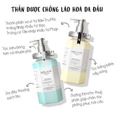 Dầu Xả Phục Hồi Đa Tầng Nấm Truffle Weilaiya White Truffle Hair Nourishing Conditioner 450ml