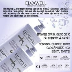 Cặp Gội Xả Phục Hồi Hư Tổn Siêu Suôn Mượt Elvawell 1000ml