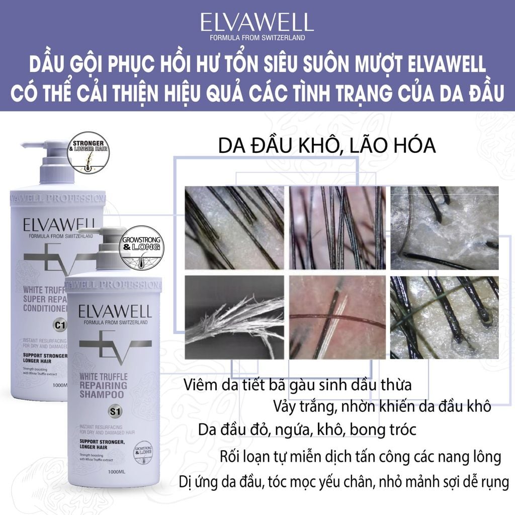 Cặp Gội Xả Phục Hồi Hư Tổn Siêu Suôn Mượt Elvawell 1000ml