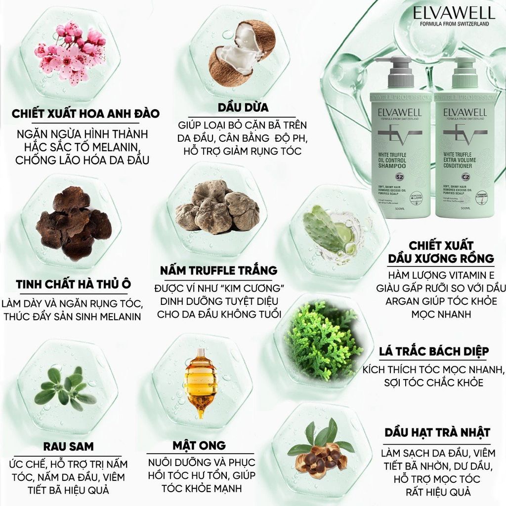 Dầu Gội Giảm Rụng Tóc Sạch Dầu Bết Elvawell 500ml - 1000ml
