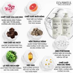 Dầu Gội Giảm Gàu Siêu Suôn Mượt Elvawell 500ml - 1000ml