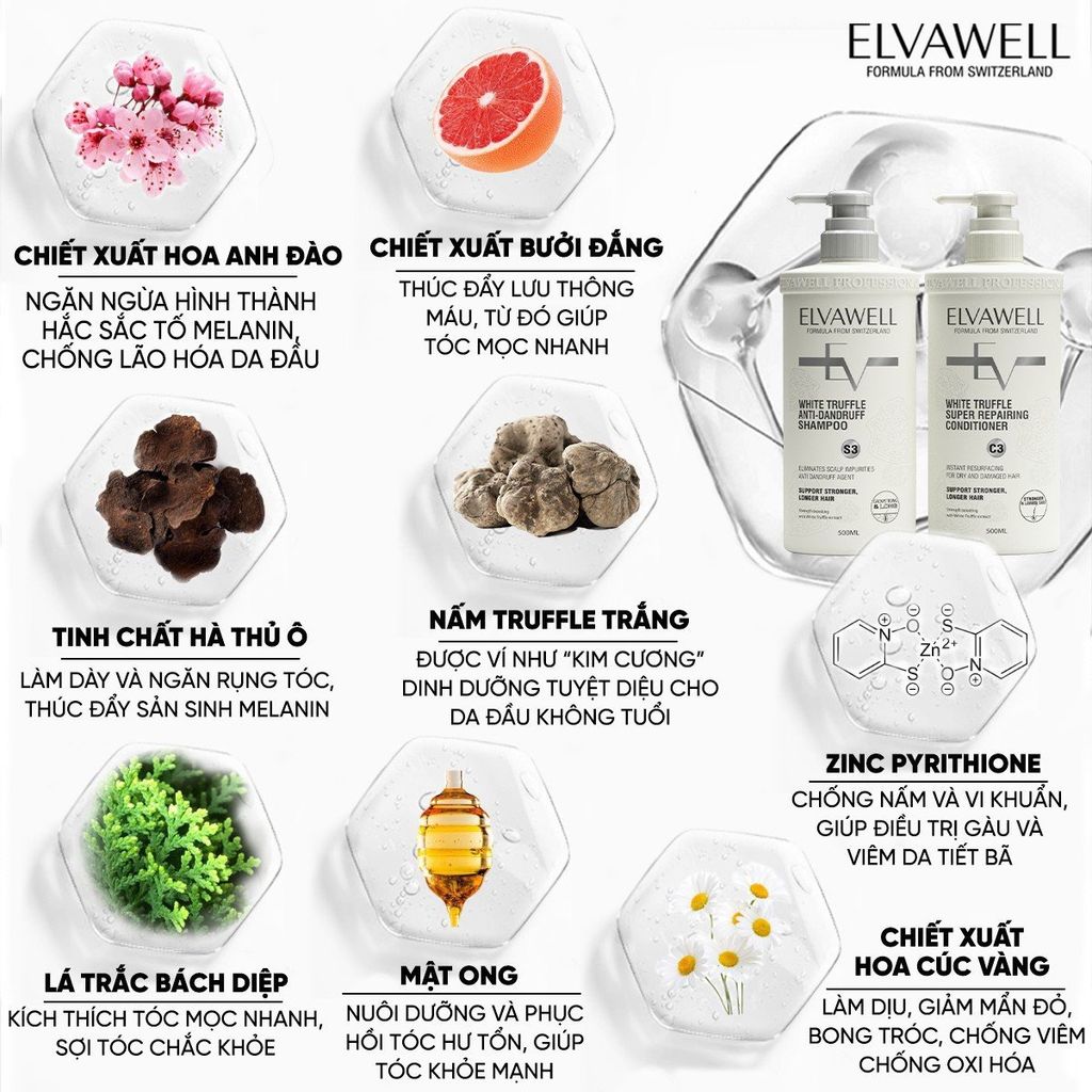 Dầu Xả Giảm Gàu Siêu Suôn Mượt Elvawell 500ml - 1000ml