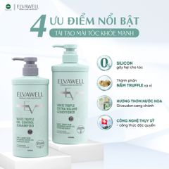 Cặp Gội Xả Giảm Rụng Tóc Sạch Dầu Bết Elvawell 500ml
