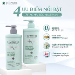 Dầu Gội Giảm Rụng Tóc Sạch Dầu Bết Elvawell 500ml - 1000ml