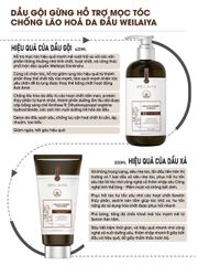 Dầu Xả Gừng Thảo Mộc Weilaiya Luxury Chai 200ml