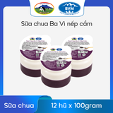 Sữa chua Ba Vì hũ nếp cẩm 