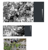  Nhận diện bệnh cây trồng bằng AI 