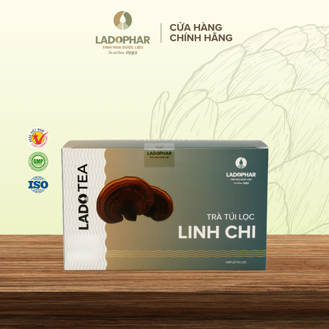 LADO TEA TRÀ TÚI LỌC LINH CHI