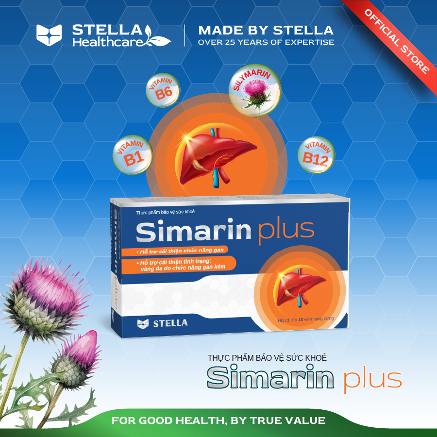  SIMARIN PLUS 