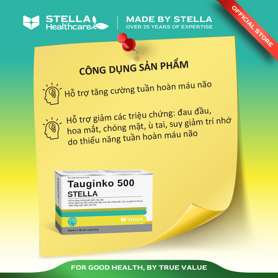  TAUGINKO 500 STELLA 
