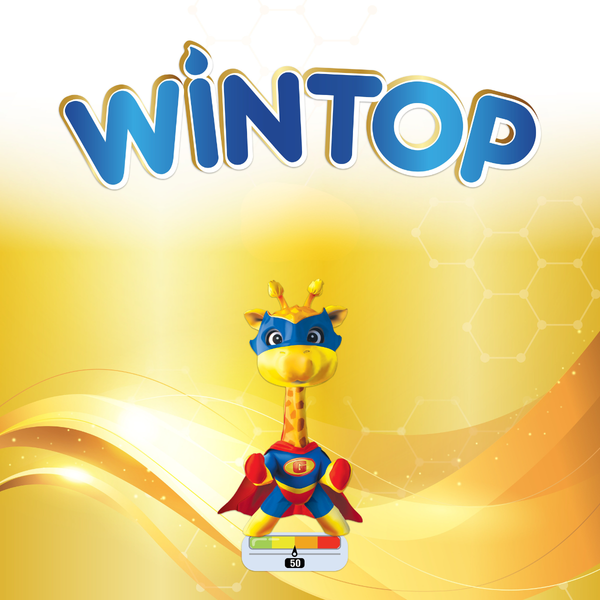 Wintop BA