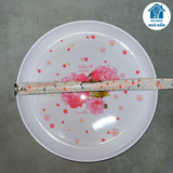  [SHIP HOẢ TỐC HN] Khay (đĩa) phíp tròn 25, 29, 33 cm 