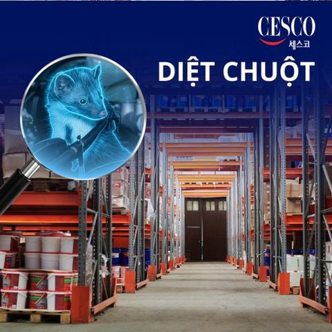 Báo giá dịch vụ diệt chuột doanh nghiệp chuyên nghiệp, hiệu quả, có bảo hành