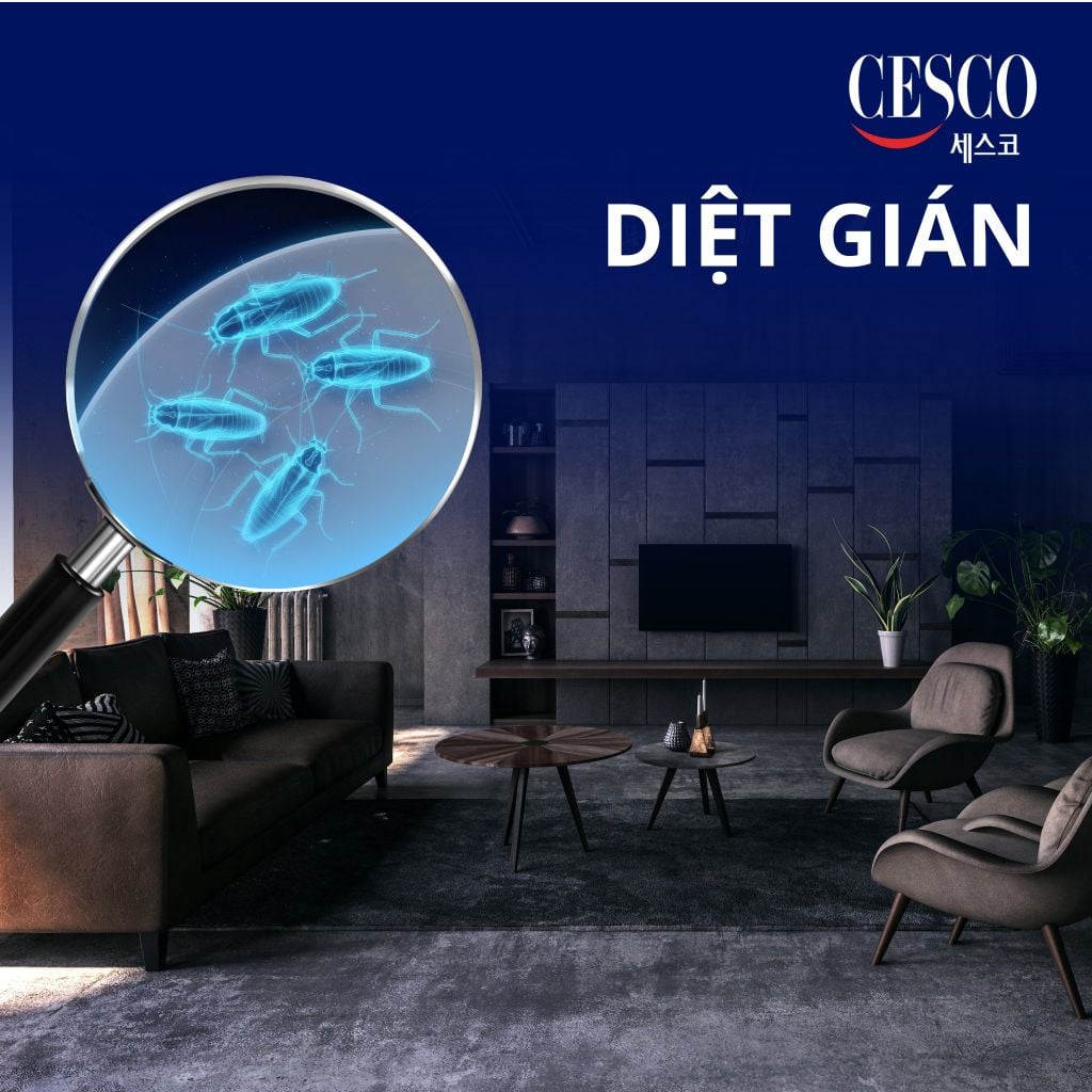 Báo giá dịch vụ diệt gián tận gốc tận nhà, hiệu quả, có bảo hành