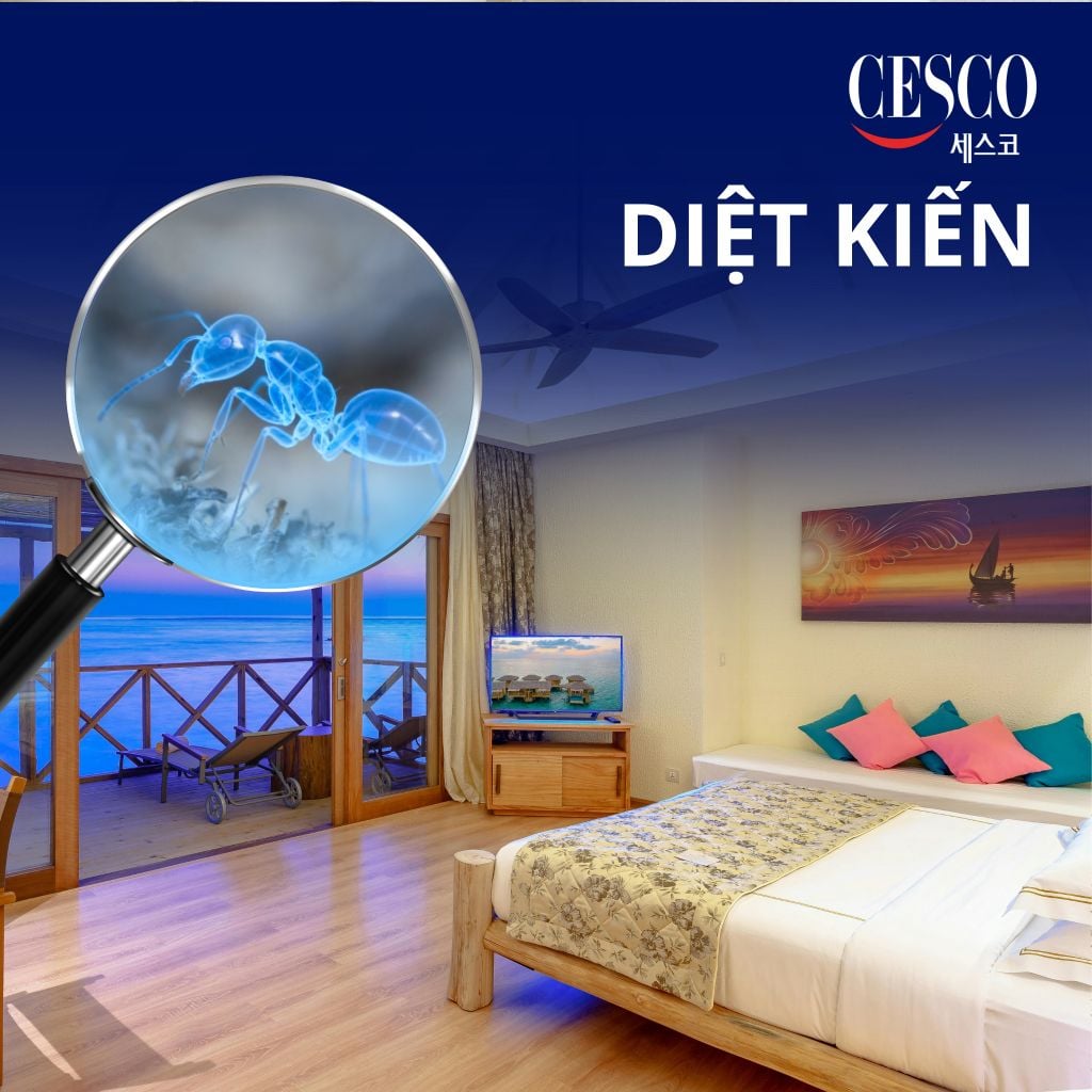 Báo giá dịch vụ diệt kiến tận gốc CESCO - Sử dụng thuốc diệt kiến sinh học an toàn