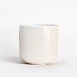  Ly cà phê trụ trơn 