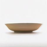 Gia vị dẹt tròn - D08 