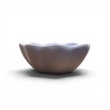  Gia vị hoa - D10 