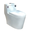  Bồn Cầu Cao Cấp C-704 