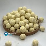  Combo 4 loại vật liệu lọc hồ cá (2kg: bi gốm thạch anh - Bi gốm FIR - Bi sứ Nano No1 - Bi gốm FIR Muối tiêu 