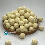  Combo 3 kg loại vật liệu lọc hồ cá: bi gốm thạch anh AC - Bi gốm FIR vi sinh cao cấp 