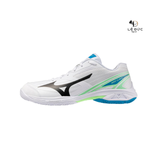 Giày Cầu Lông Mizuno Wave Claw 4 - 71GA264314