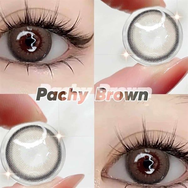 Lens mắt -Stells Gray Wink HSD 1 năm