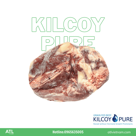 BẮP BÒ KILCOY PURE