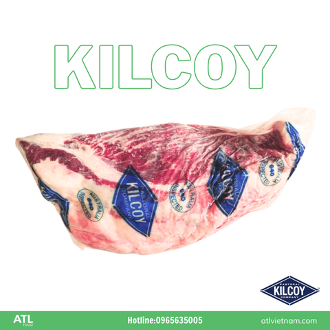 GÙ BÒ ÚC KILCOY