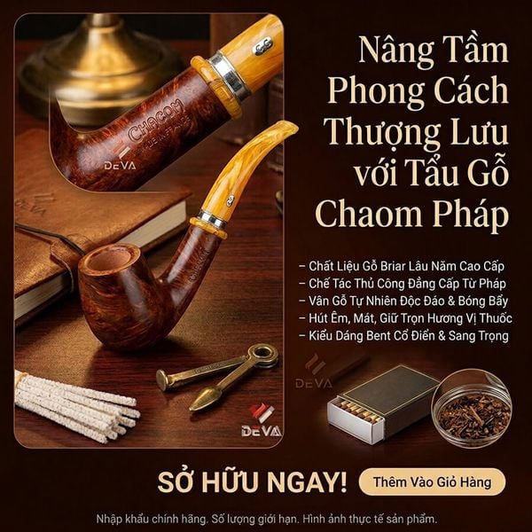 Tẩu gỗ thạch nam Chacom Montmartre N43
