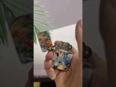 Zippo Sơn Dạ Quang Chủ Đề Khu Rừng Bí Mật ZN51-video