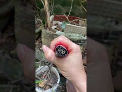 Bật lửa khò 2 tia Jobon ZB 585-video