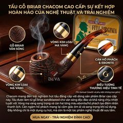 Tẩu gỗ thạch nam Chacom churchill SB N425