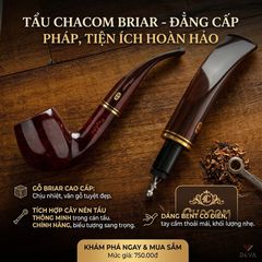 Thạch nam Chacom Montbrillant N268M
