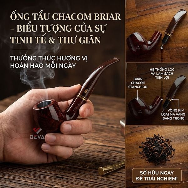 Thạch nam Chacom Montbrillant N268M