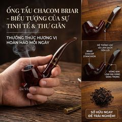 Thạch nam Chacom Montbrillant N268M