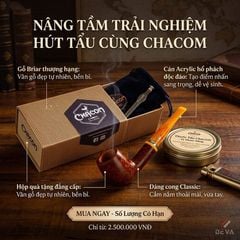 Tẩu gỗ thạch nam Chacom Montmartre N186